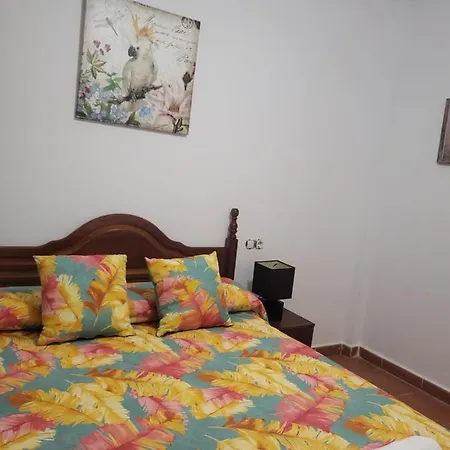 Casa Baja Naturista Con Palmeras Y Patio! * Vera